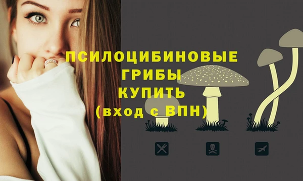 прущие крисы Волосово