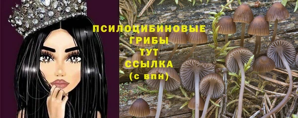 дживик Володарск