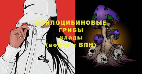 стаф Волоколамск