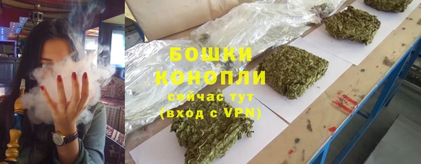 стаф Волоколамск