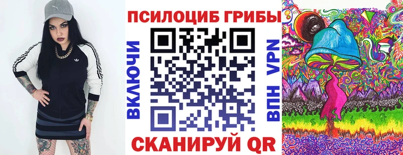 Псилоцибиновые грибы Psilocybe  Зеленоградск 